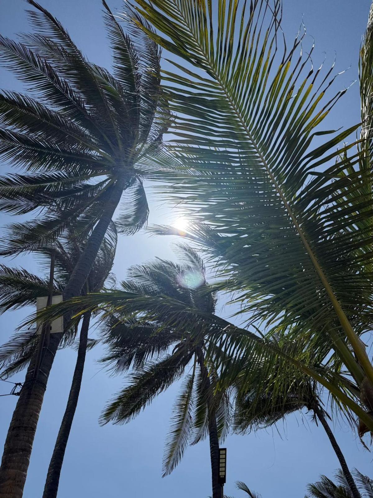 Playa Palmeras Beach Resort Cartagena Kültér fotó